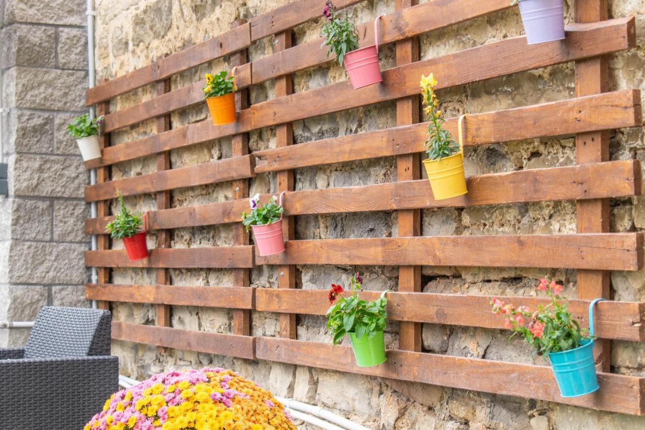 Acogedora Casa Rural Con Jardin Y Barbacoa Proxima A Pamplona Ilzarbe Dış mekan fotoğraf